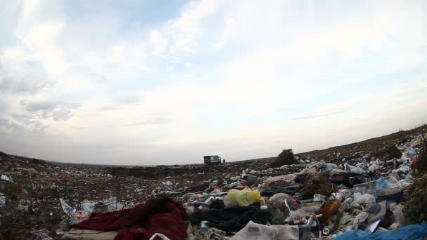 Man werklozen dakloze dump vuile voedselafval op stortplaatsen sociale video — Stockvideo