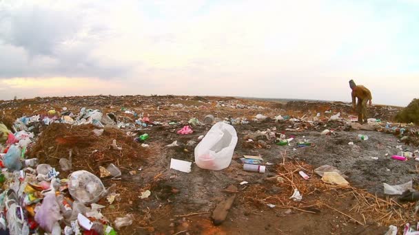 Homeless man looking for food in the garbage dump food waste environmental protection — Stock Video