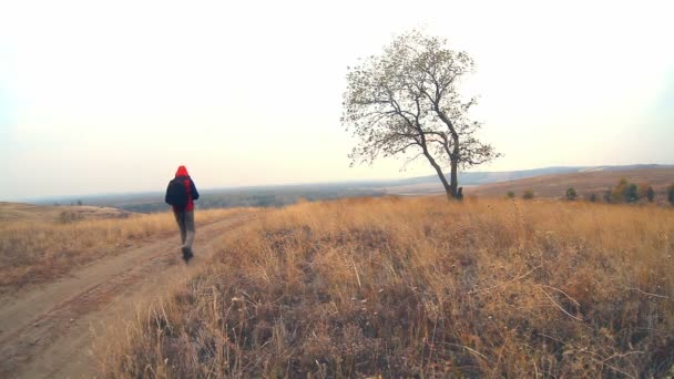 Viaggiatore uomo con uno zaino in autunno è sulla strada per la natura è un viaggio albero solitario — Video Stock