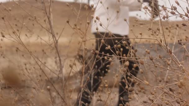 An  unidentified woman sits on a dry timber focus on the grass autumn nature — Stock Video