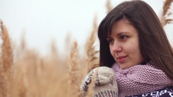 Kız kadın portre sonbaharda kazak atkı ve eldiven doğa kuru ot soğuk takip ediyor. — Stok video