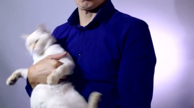 deli kedi adam el görür çalış studio arka plan ısırma