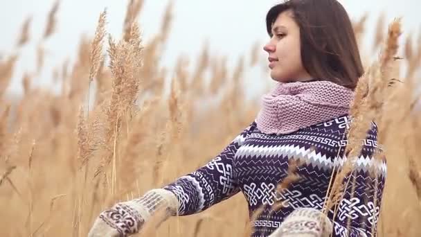 Retrato menina mulher em suéter cachecol e mitenes natureza outono seco talos grama fria — Vídeo de Stock