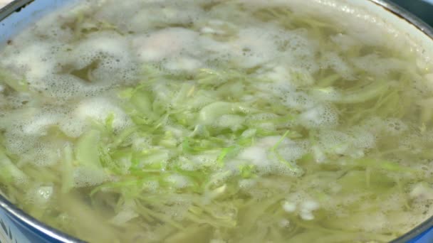 Sopa de col verduras sopa cocida agua hirviendo — Vídeo de stock