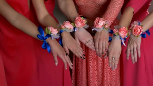 Девушка показывает руки в розовом платье крупным планом группы цветов — стоковое видео