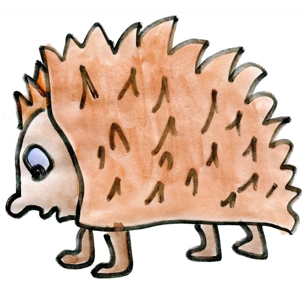 Cartoon hedgehog isolado no fundo branco cartoon — Fotografia de Stock