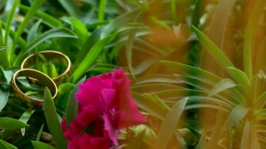 nikah yüzükleri yeşil çim hareket kamera aksesuarları üzerinde yalan