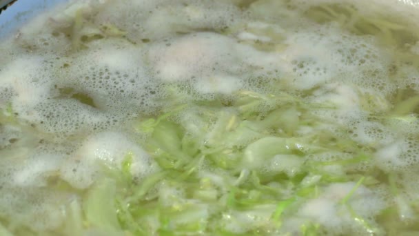 Polévka zelná zelenina vařené polévky vroucí vody — Stock video