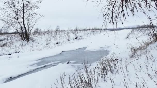 Зимовий сніг і крижане поле з сухою травою пейзаж холодний — стокове відео