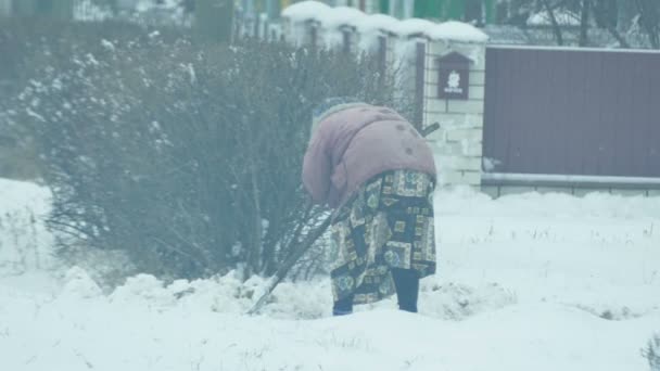 Idoso velha mulher limpa neve inverno pálido — Vídeo de Stock