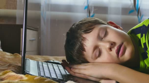 Fiú esett alvás laptop — Stock videók