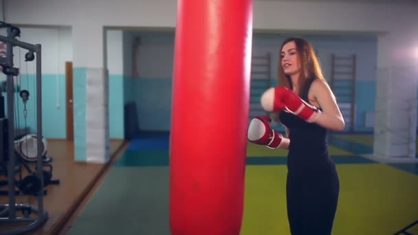 Girl boxer in boxing has been punching bag sport — Stock Video