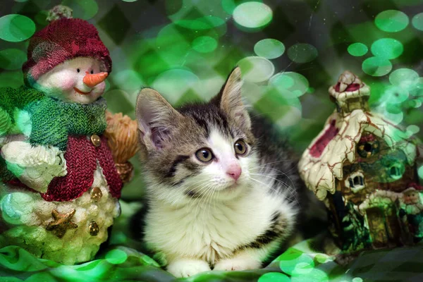 Mały Śmieszne Kotek Boże Narodzenie Tło Zbliżenie — Zdjęcie stockowe
