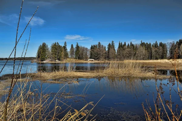 Lago Primaverile Con Erba Secca Primo Piano Paesaggio — Foto Stock