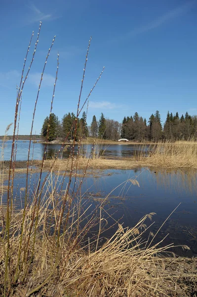 Jarní Jezero Suchou Trávou Popředí Krajina — Stock fotografie