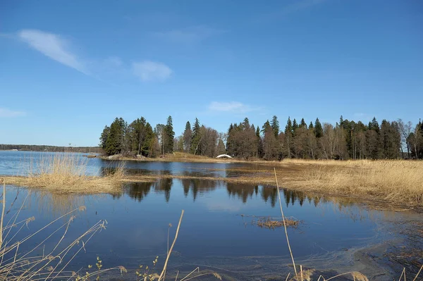 Lago Primavera Con Hierba Seca Primer Plano Paisaje — Foto de Stock