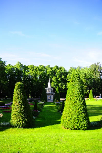 Rusia San Petersburgo 2018 Viejo Parque Peregof Con Árboles Cortados — Foto de Stock