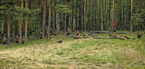 Rusya Petersburg 2014 Leningrad Yakınlarında Kinci Dünya Savaşı Nın Yeniden — Stok fotoğraf