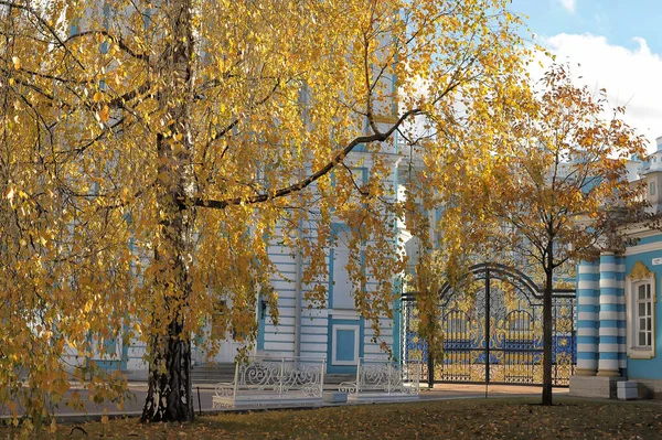 プーシキン ロシア2019年7月12日ロシアのツァルスコー セロにあるキャサリン宮殿の黄金の門 — ストック写真