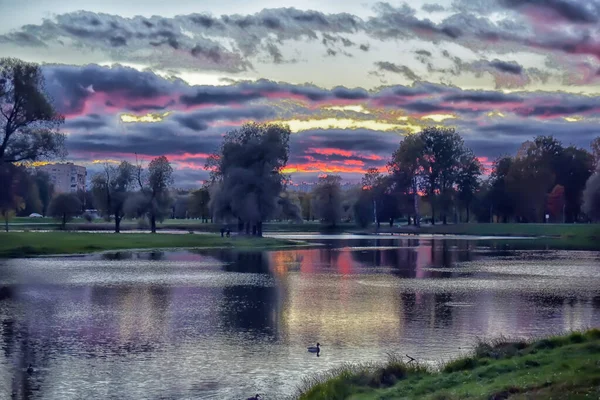 Purple Sunset Pond Summer Park — Stock Photo, Image