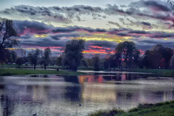 Purple Sunset Pond Summer Park — Stock Photo, Image