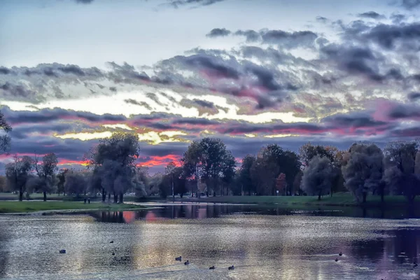 Pôr Sol Roxo Sobre Uma Lagoa Parque Verão — Fotografia de Stock