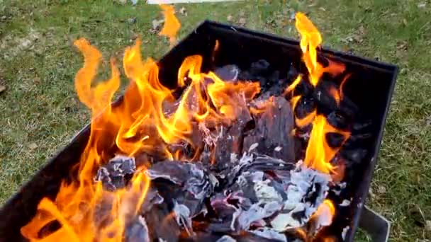 Burning Coals Cooking Kebabs Slow Motion — Stock Video