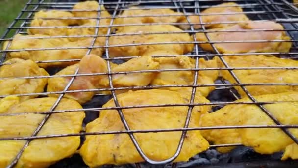 Brochettes Poulet Grillées Charbon Bois Sur Support Métallique — Video