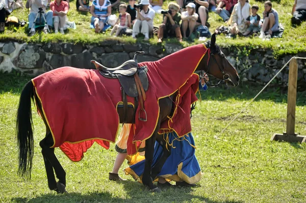 Rússia São Petersburgo 2016 Cavaleiro Cavalo Armadura Militar Torneio Cavalaria — Fotografia de Stock