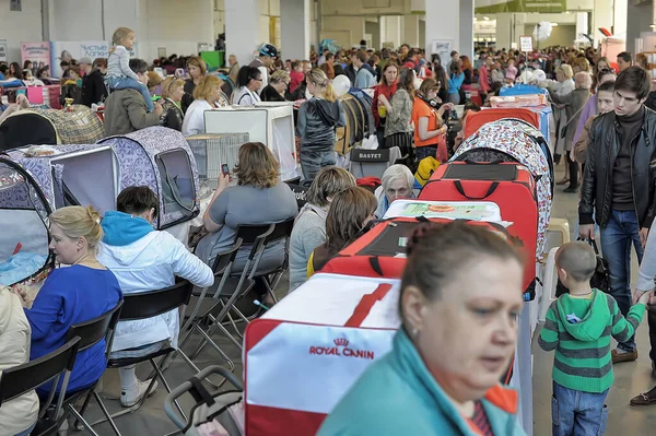 Rusia San Petersburgo 2016 Personas Identificadas Visitan Una Exposición Internacional —  Fotos de Stock