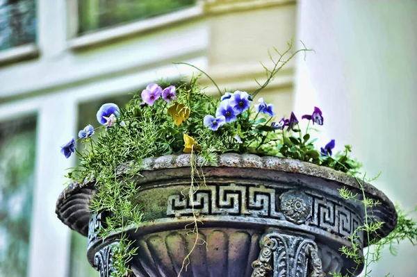Rozkvetlá Postel Teplými Květy Létě — Stock fotografie