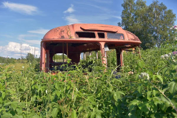 Viejo Autobús Derrumbó Entre Hierba Alta Verano — Foto de Stock