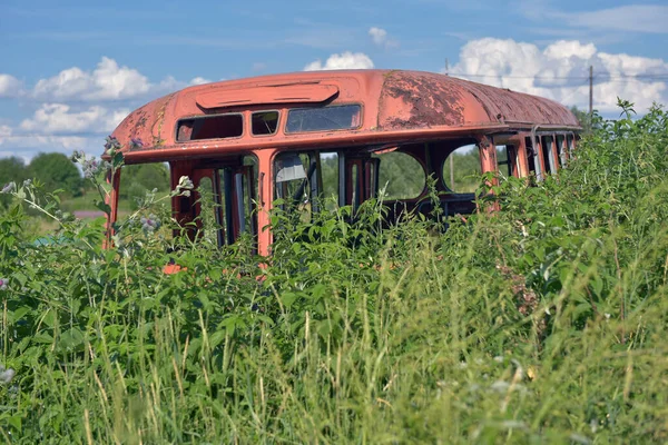 Viejo Autobús Derrumbó Entre Hierba Alta Verano — Foto de Stock