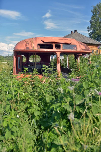 Viejo Autobús Derrumbó Entre Hierba Alta Verano — Foto de Stock