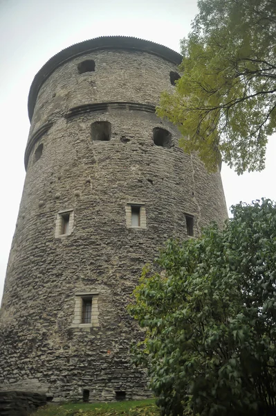 Estonia Tallinn 2016 Fat Margarita Tower Tallinn City Wall Located — Stock fotografie