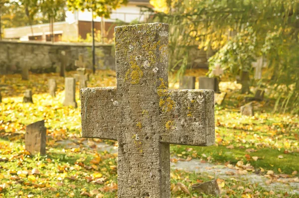 Estonia Tallinn 2016 Stone Crosses Old Cemetery Autumn — Stok fotoğraf