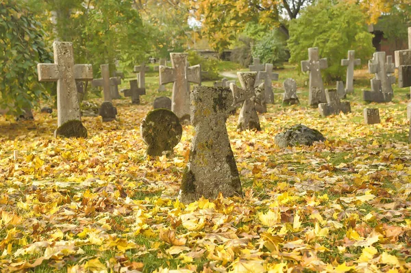 Estonia Tallinn 2016 Stone Crosses Old Cemetery Autumn — Φωτογραφία Αρχείου