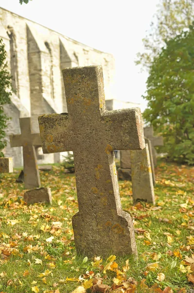 Estonia Tallinn 2016 Stone Crosses Old Cemetery Autumn — ストック写真