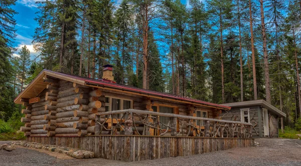 Wooden Log Cabin Pine Forest Summer — Zdjęcie stockowe