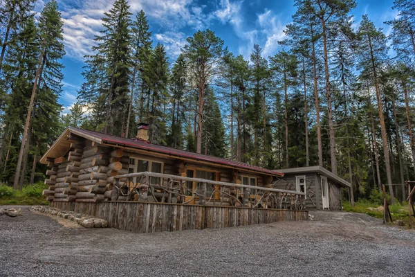 Wooden Log Cabin Pine Forest Summer — Stockfoto