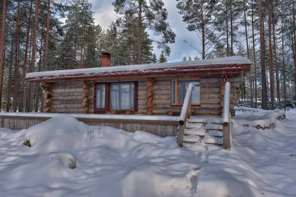 Wooden Cabin Log House Pine Forest Winter Landscape — Stockfoto