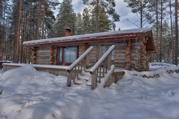 Wooden Cabin Log House Pine Forest Winter Landscape — Stockfoto