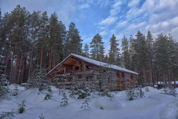 Wooden Cabin Log House Pine Forest Winter Landscape — Stockfoto