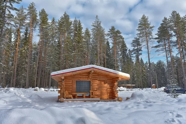 Wooden Cabin Log House Pine Forest Winter Landscape — Stock fotografie