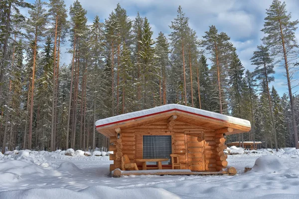 Wooden Cabin Log House Pine Forest Winter Landscape — Foto de Stock