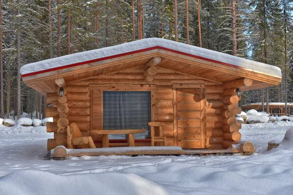 Wooden Cabin Log House Pine Forest Winter Landscape — Stok fotoğraf