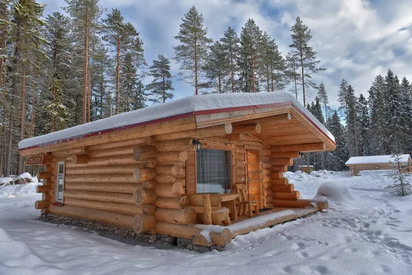 Wooden Cabin Log House Pine Forest Winter Landscape — Photo