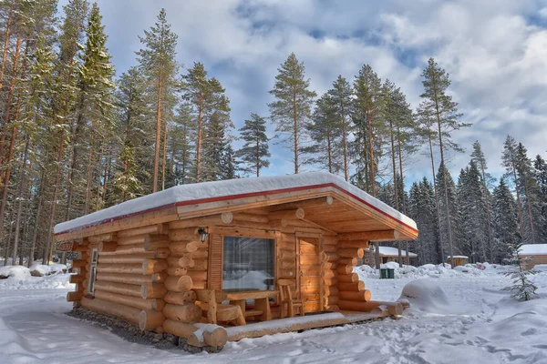 Wooden Cabin Log House Pine Forest Winter Landscape — Foto de Stock