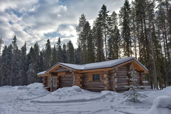 Wooden Cabin Log House Pine Forest Winter Landscape —  Fotos de Stock