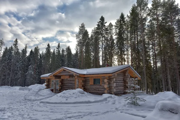 Wooden Cabin Log House Pine Forest Winter Landscape — Foto de Stock